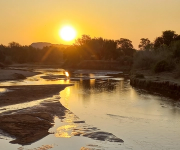 Parc national Kruger : Visite privée du safari