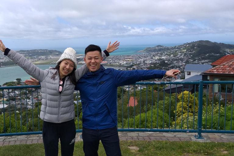 Wellington: Tour guidato della città con viaggio in funivia