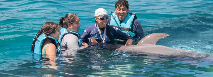 Puerto Aventuras : rencontre avec les dauphins et interaction avec les lamantins