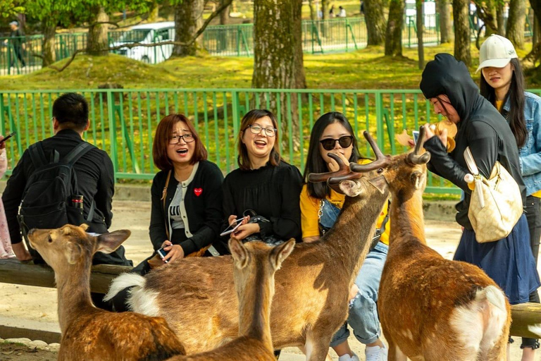 Tokyo: 7-Day Japan Highlights Private Guided Tour