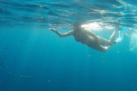 Snorkeling a Port City