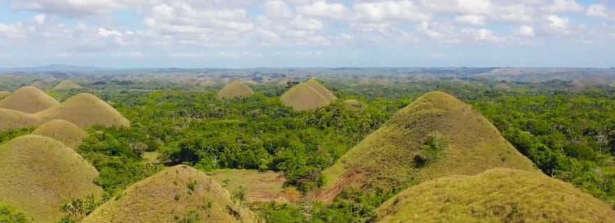 Bohol : Collines de chocolat, croisière sur la rivière Loboc et déjeuner buffet