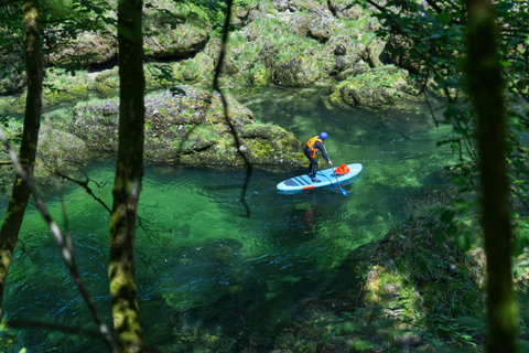 Lambach: Raft, kayak, or SUP river tour through Traun Gorge – Natura 2000 Dream Gorge with rafting boat, kayak, stand-up paddle board / TraunXperience
