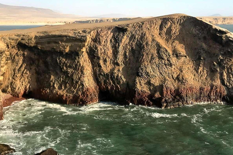 Depuis Ica : Îles Ballestas + Réserve nationale de Paracas