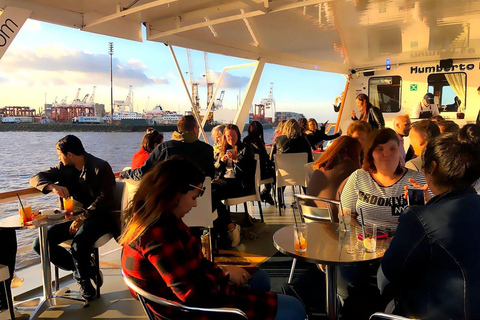 布宜诺斯艾利斯：含开放式酒吧的拉普拉塔河日落巡游1 小时游览