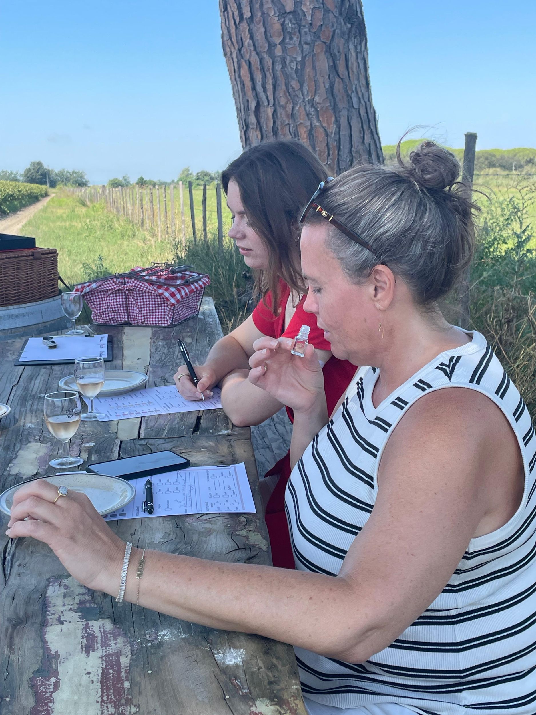 Camargue - Tag mit Flamingos, Wein und Aigues-Mortes