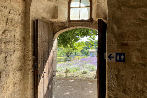 Private tour of the Alpilles: Saint-Rémy-de-Provence & Les Baux-de-Provence