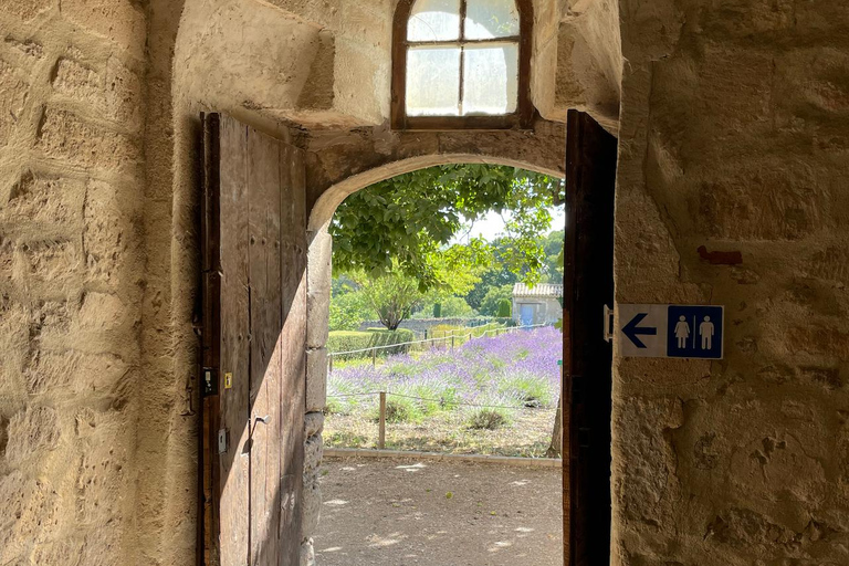 Private tour of the Alpilles: Saint-Rémy-de-Provence & Les Baux-de-Provence