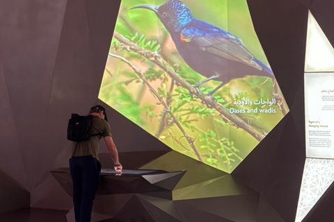 Oman Across Ages Museum & Al Hoota Cave Tour
