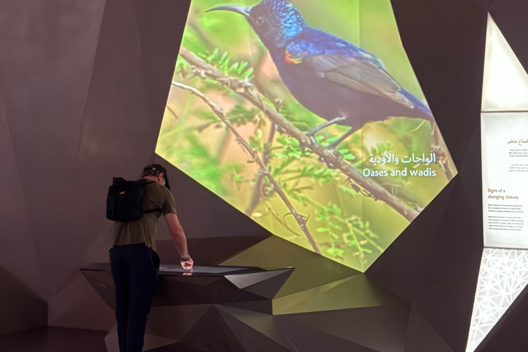 Oman Across Ages Museum & Al Hoota Cave Tour