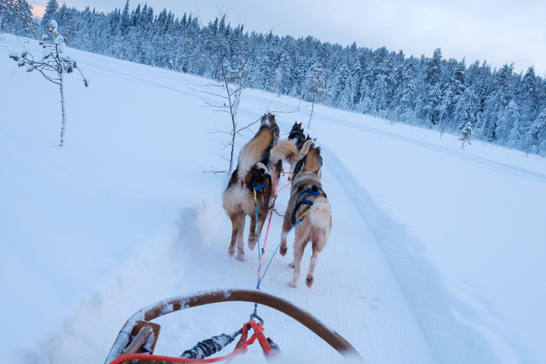 Husky Ride, Snowmobile, Trip to Ranua and Northern Lights