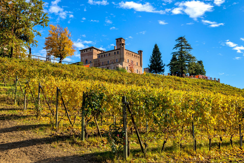 Au départ de Milan : Dégustation de vin Barolo, visite d&#039;Alba et visite du château