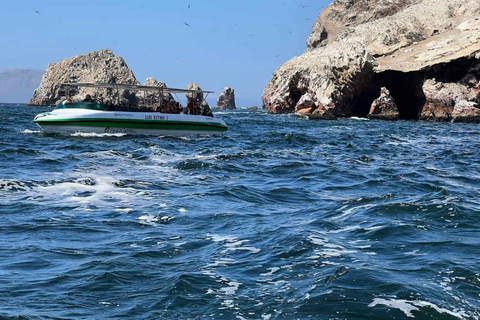 From Ica: Paracas and Ballestas Islands Full-Day Tour