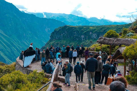 AREQUIPA : JOURNÉE COMPLÈTE CANYON DE COLCA + BAINS THERMAUX