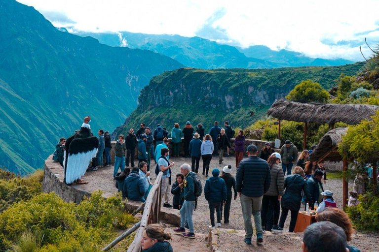 AREQUIPA : JOURNÉE COMPLÈTE CANYON DE COLCA + BAINS THERMAUX