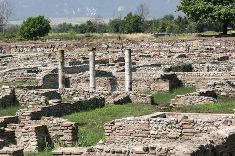 From Thessaloniki: Mt.Olympus–Dion, Litochoro & Enipeas