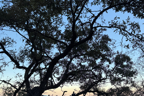 منتزه تشيبينكي الطبيعي - رحلة صباحية / بعد الظهر