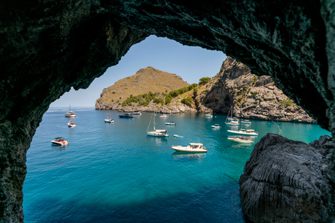 Mallorca: Island Tour with Boat, Tram &amp; Train from the South