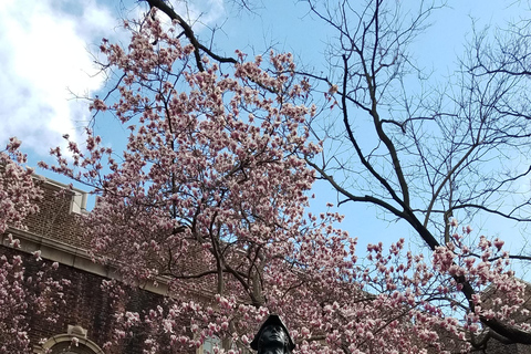 Philadelphia: Poor Richard - Benjamin Franklin Walking Tour Philadelphia: Poor Richard - Benjamin Franklin Walking Tour