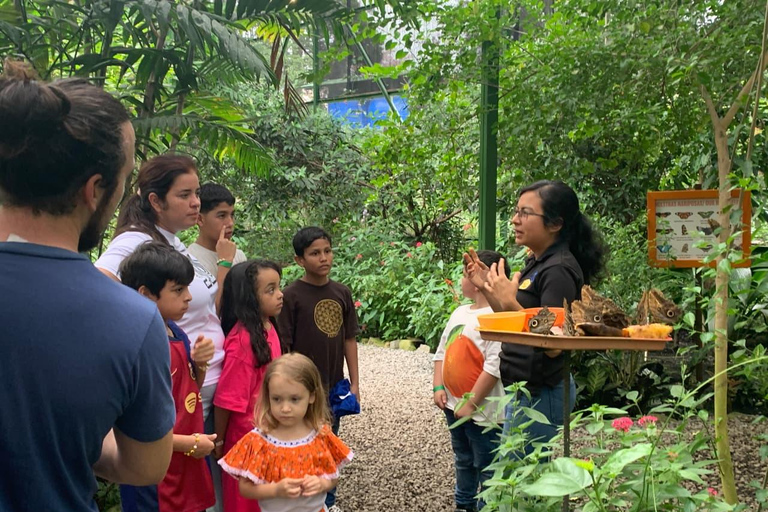 Boquete Butterfly House: Panama's Largest Butterfly Exhibit