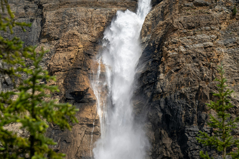 Calgary: Emerald Lake & Takakkaw Falls Small Group Tour