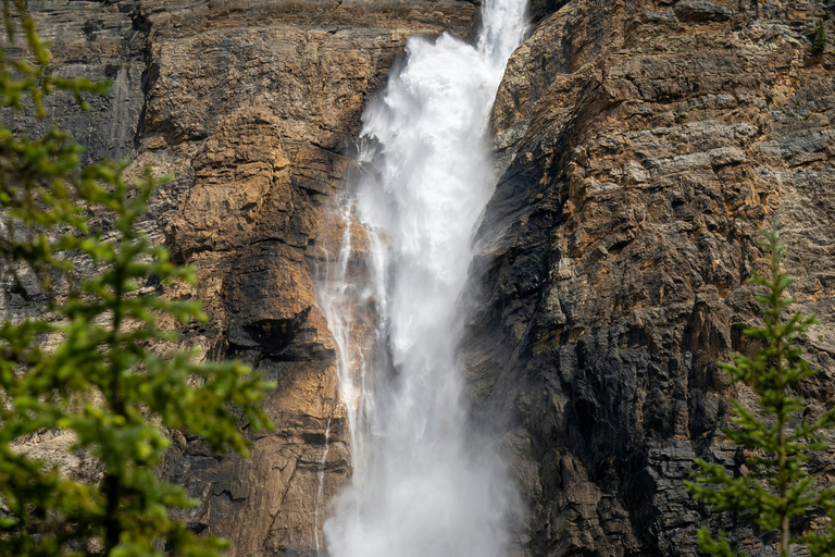 Calgary: Emerald Lake & Takakkaw Falls Small Group Tour