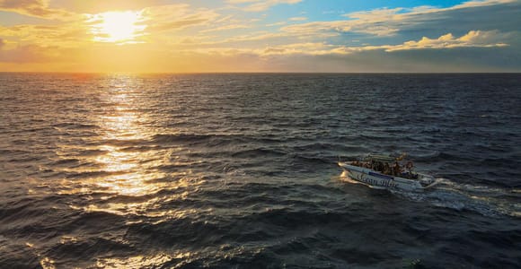 Costa Adeje: Whale and Dolphin-Watching Boat Excursion