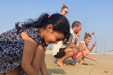 Baby Sea turtles release in Puerto Escondido