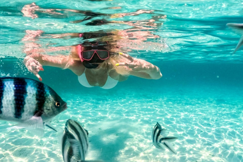 Pattaya: Koh Talu & 7 Islands Speedboat Tour with Lunch