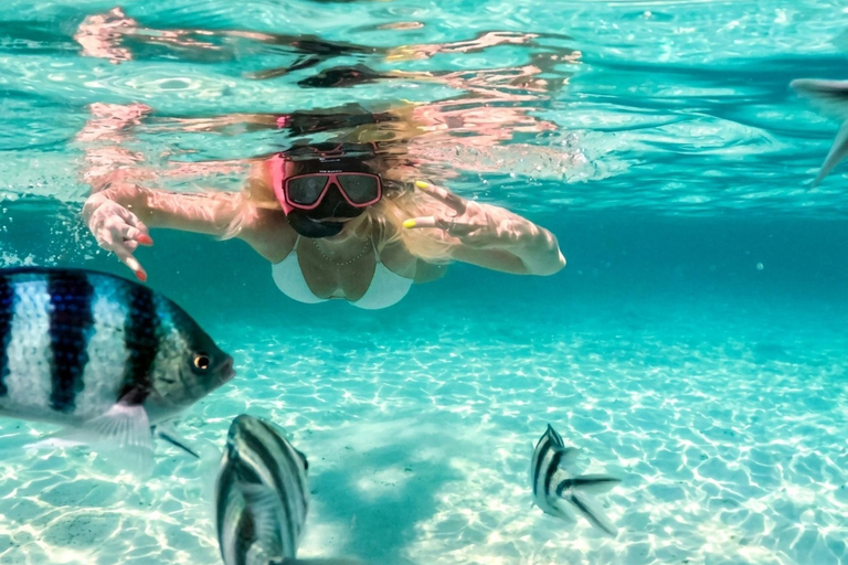 Pattaya: Koh Talu & 7 Islands Speedboat Tour with Lunch