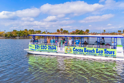 Cocoa Beach: Dolphin, Manatee, and Wildlife Boat Tour