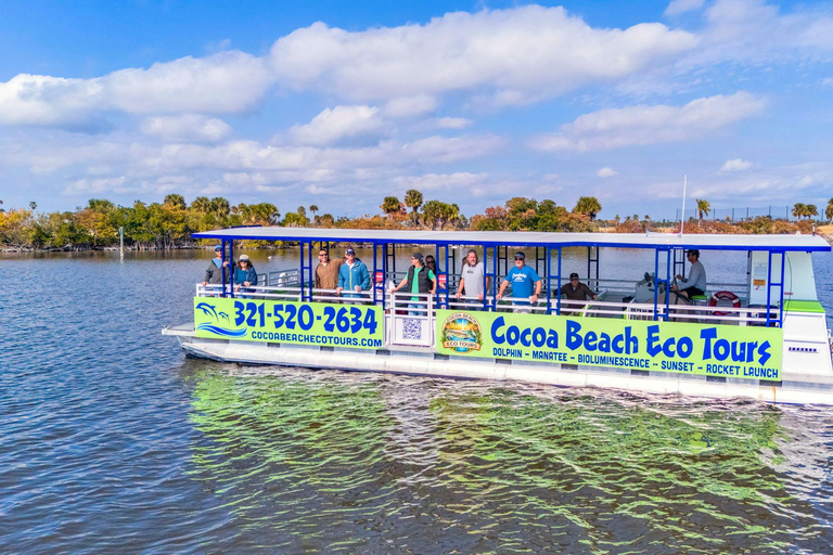 Cocoa Beach: Dolphin, Manatee, and Wildlife Boat Tour