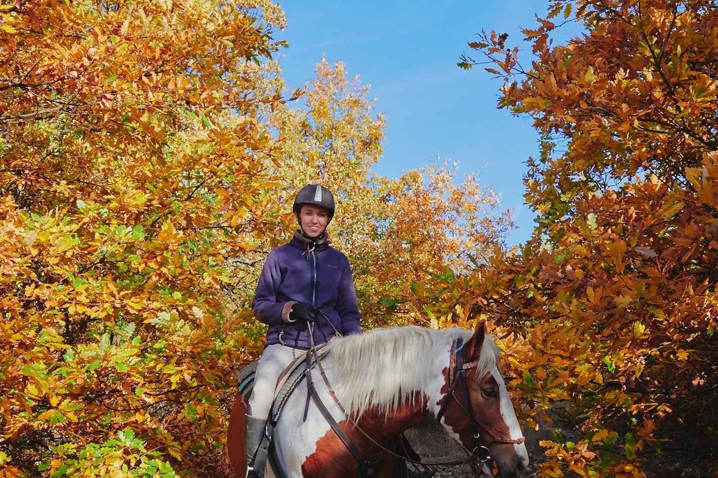 Escape Sofia: horse ride through Bulgaria´s beauty