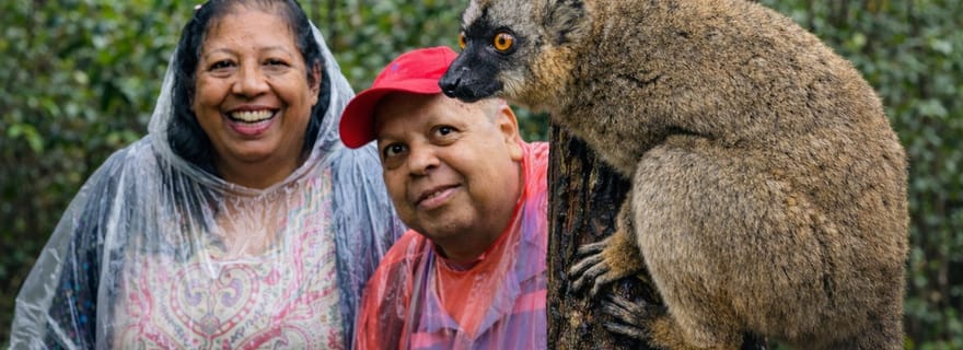 Antananarivo : excursion au parc national d'Andasibe avec les lémuriens