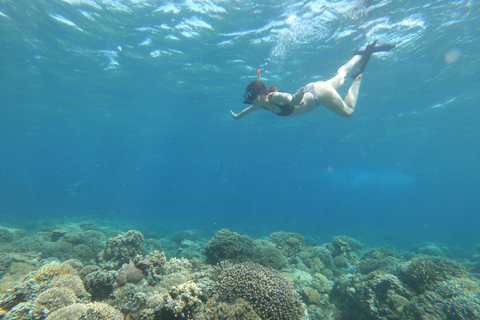 Excursión de un día a Gili Trawangan, Gili Meno, Gili Air (Salida de Lombok)