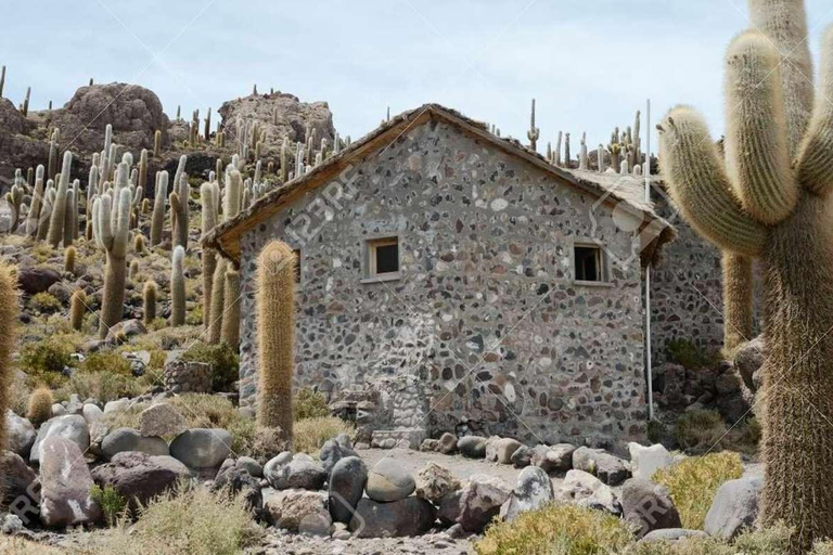 Uyuni: Cmentarz kolejowy, Colchani i wycieczka po Salar de Uyuni