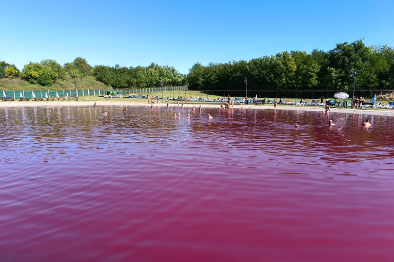 Från Belgrad: Rosa sjön - Pacir Thermal spa