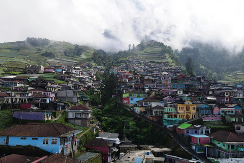 YOGYAKARTA: SILANCUR HIGHLAND/NEPAL VAN JAVA/BOROBUDUR