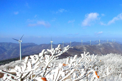 De Seul: excursão privada de um dia a Gangwondo - inglês ou espanholDe Seul: passeio privado de um dia a Gangwondo - inglês ou espanhol