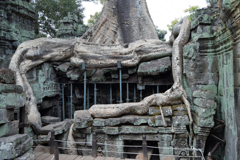 Private Tuktuk taxi to Angkor Wat, Bayon and Ta Prohm Temple