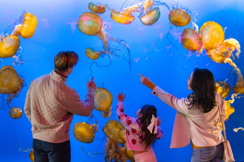 Aquarium de Vancouver : billet coupe-fileVancouver : billet coupe-file pour l'aquarium