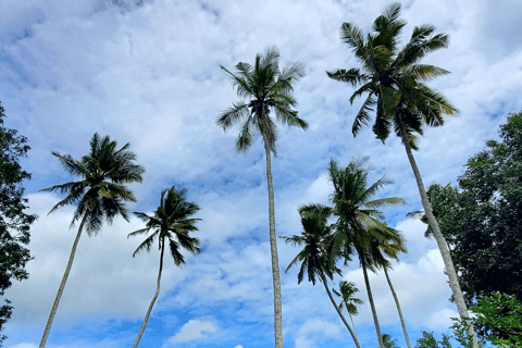 Zanzibar: Spice Farm Guided Walking Tour With Lunch