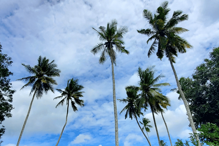 Zanzibar: Spice Farm Guided Walking Tour With Lunch