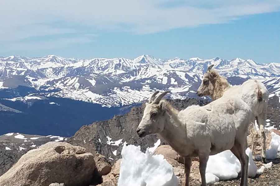 Von Denver aus: Mount Blue Sky 14.265ft Gipfel und Gletschersee. Foto: GetYourGuide