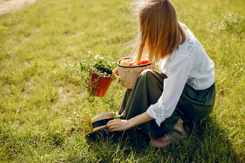 Yerevan: Wild Herbs Foraging Experience in the Nature