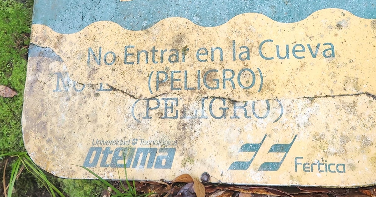 Los Quetzalez Cerro Punta Trail - Boquete | GetYourGuide