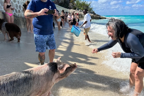 007-Poranne pływanie all inclusive ze świniami na Rose Island007 All Inclusive — pływanie ze świniami na Rose Island