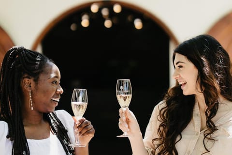 Cape Town: Stellenbosch Bubbly Wine & Biltong Tour + Pick up