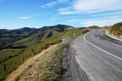 Christchurch: Excursión de un día a Akaroa y la península de Banks