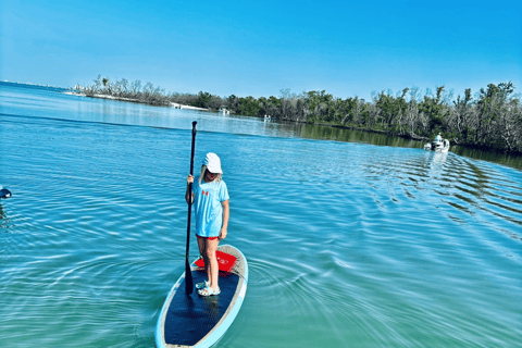Fort Myers Dolphin & Manatee Kayak or Paddleboard Tour